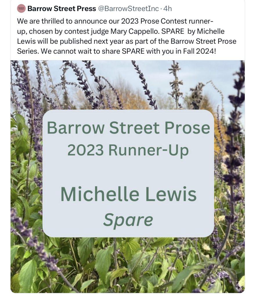 Barrow Street publishing Michelle Lewis's Spare