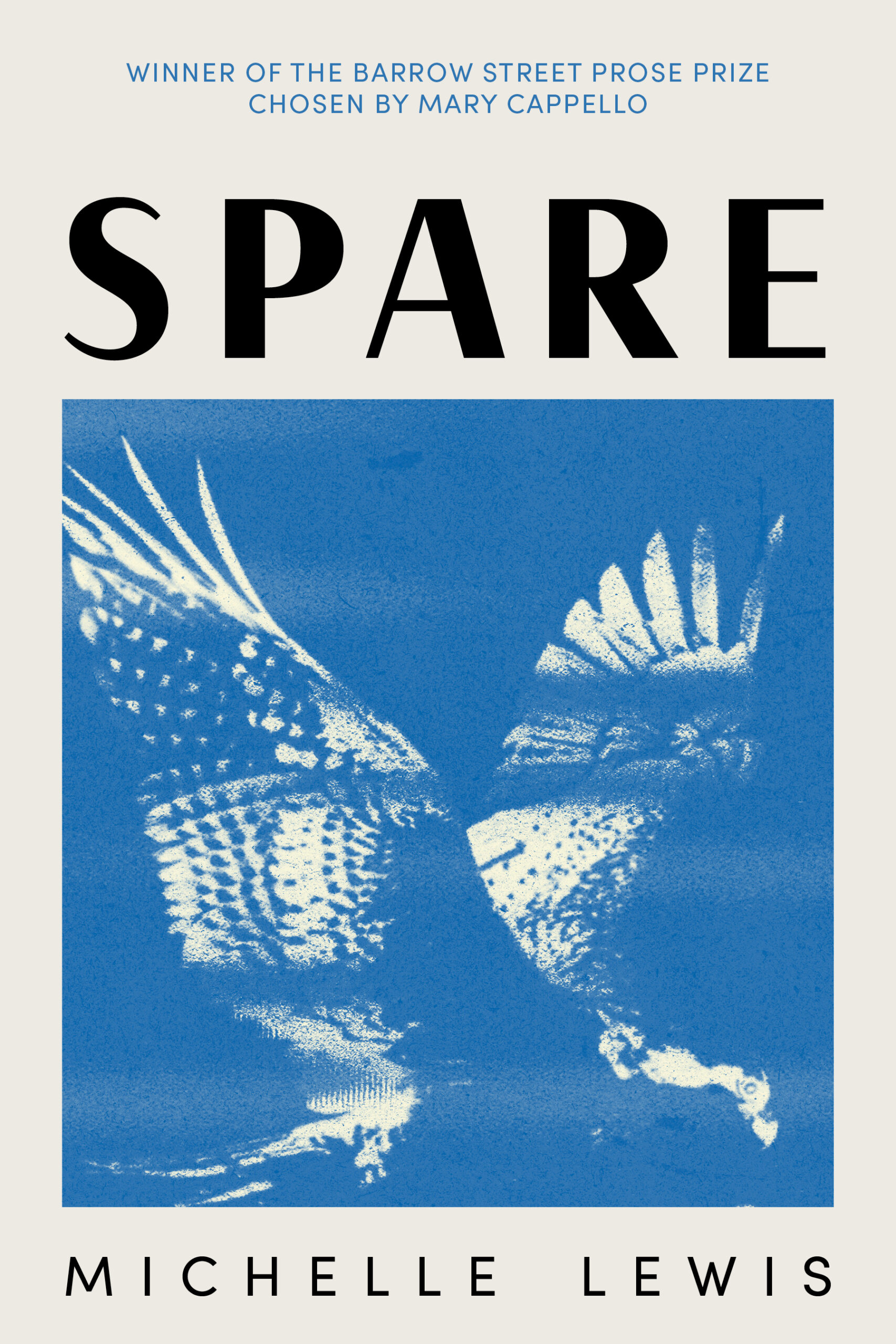 Spare by Michelle Lewis